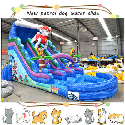 Unterhalten Sie die Kinder mit 3D-Pa-Patrollen aufblasbare Wasserrutsche und Pool Doppelspur-Design