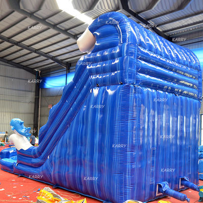 Großkinder aufblasbare Wasser-Doppelslide N-Slip mit Digitaldruck und Blaser