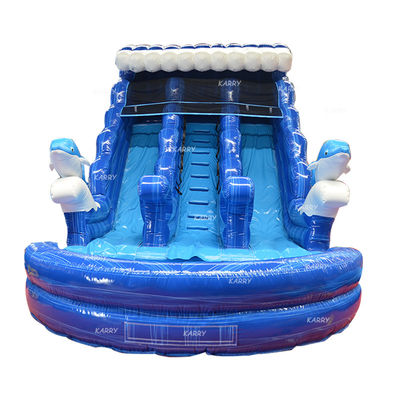 Großkinder aufblasbare Wasser-Doppelslide N-Slip mit Digitaldruck und Blaser