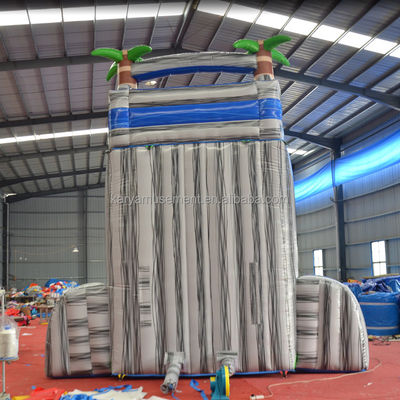 Digitale Druckerei PVC-Platten aufblasbare Wasserrutsche mit Kinderspielbecken