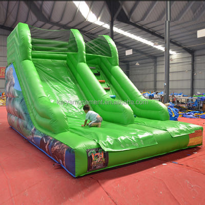 Maximalkapazität 100-500 kg Aufblasbarer kleiner Rutsch-Wasserpark für Kinderunterhaltung