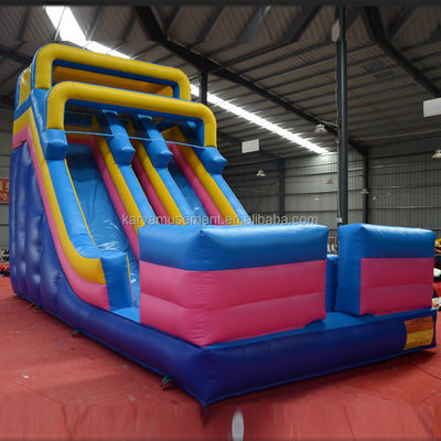 Digitale Druckerei PVC-Wasserslide für Erwachsene und Kinder