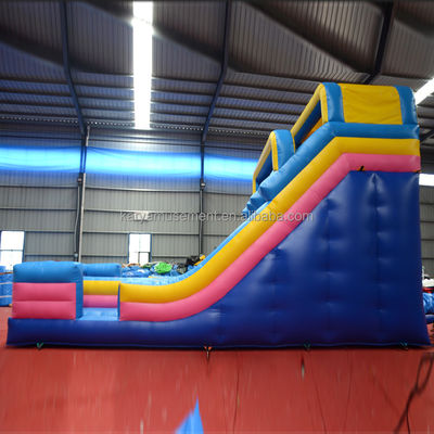 Digitale Druckerei PVC-Wasserslide für Erwachsene und Kinder