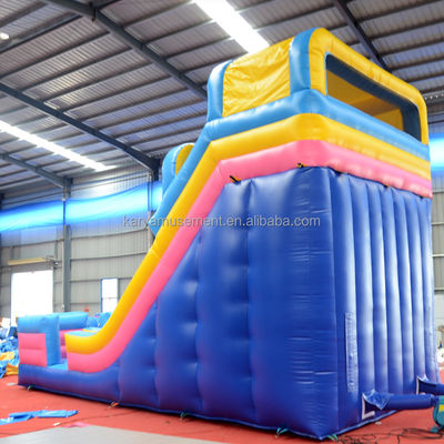 Digitale Druckerei PVC-Wasserslide für Erwachsene und Kinder