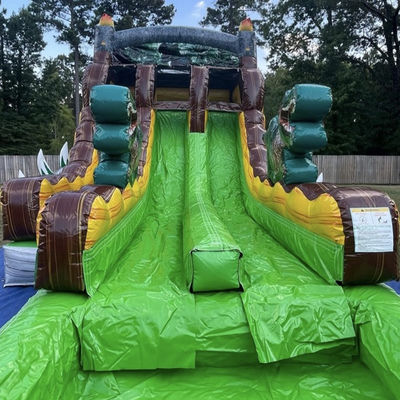 Lassen Sie Ihre Fantasie frei Tropische Dschungel Dino Thema Wasserrutsche mit Splash Pool Spaß