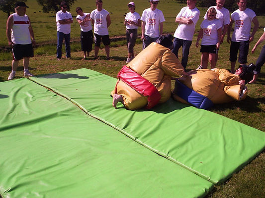 Karnevalspiel Wesentliche Erwachsene Aufblasbare Spiderman Sumo-Anzüge für den Freien Spielplatz