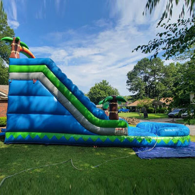 CE/EN71/EN14960 Zertifizierter 30-Fuß-Aussen-Wasserpark Blaue tropische Palmen-Wasserrutsche für 5-10 Passagiere