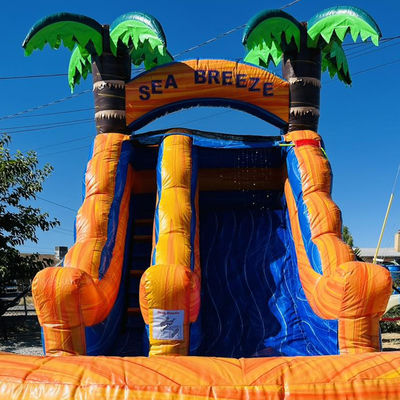 Anpassbares gewerbliches Verleih PVC aufblasbarer Wasserpark mit Palmbaumwasserrutsche