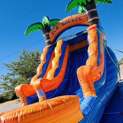 Anpassbares gewerbliches Verleih PVC aufblasbarer Wasserpark mit Palmbaumwasserrutsche