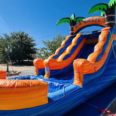 Anpassbares gewerbliches Verleih PVC aufblasbarer Wasserpark mit Palmbaumwasserrutsche