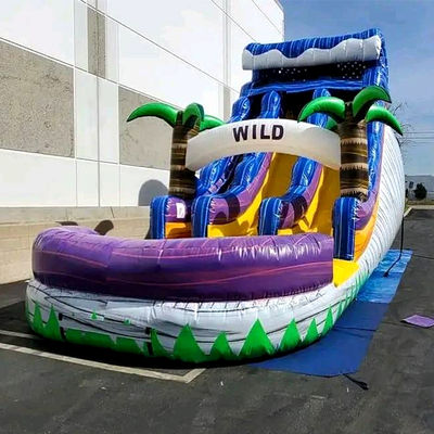 Großer Pool Kinder Sprungrutsche Hausparty kommerzielle tropische Palmen Wasserrutsche mit zwei Rutschen