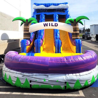 Großer Pool Kinder Sprungrutsche Hausparty kommerzielle tropische Palmen Wasserrutsche mit zwei Rutschen