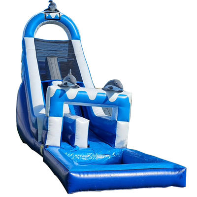 0.55mm PVC Tarpaulin riesige Dolphin-Themen aufblasbare Wasserrutsche mit abnehmbarem Pool