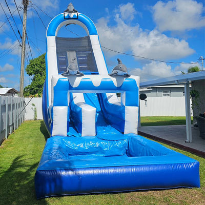 0.55mm PVC Tarpaulin riesige Dolphin-Themen aufblasbare Wasserrutsche mit abnehmbarem Pool