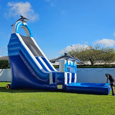 0.55mm PVC Tarpaulin riesige Dolphin-Themen aufblasbare Wasserrutsche mit abnehmbarem Pool
