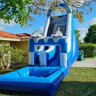 0.55mm PVC Tarpaulin riesige Dolphin-Themen aufblasbare Wasserrutsche mit abnehmbarem Pool