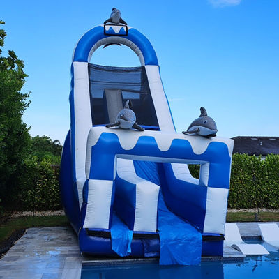 0.55mm PVC Tarpaulin riesige Dolphin-Themen aufblasbare Wasserrutsche mit abnehmbarem Pool