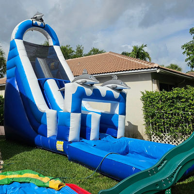 0.55mm PVC Tarpaulin riesige Dolphin-Themen aufblasbare Wasserrutsche mit abnehmbarem Pool