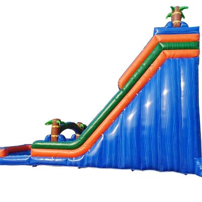 Palm Tree Orange Wasserrutsche aufblasbare Doppelslide und Pool für Hinterhof Spaß
