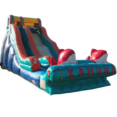 0.55mm PVC Tarpaulin Rotkarpfen Themen aufblasbare Wasserrutsche mit breiter Rutsche und Rutsche