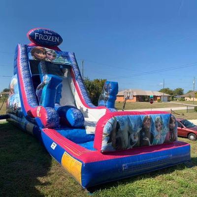 Maximale Kapazität 100-500kg Aufblasbare eingefrorene Themen Bounce House Wasserrutsche mit großem Pool