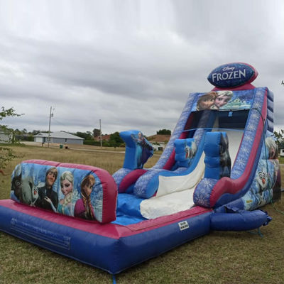 Maximale Kapazität 100-500kg Aufblasbare eingefrorene Themen Bounce House Wasserrutsche mit großem Pool
