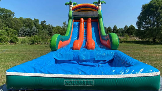 Maximalkapazität 100-500 kg Doppelspuriger aufblasbarer Wasserpark mit Pool und Palmbaumschleuse
