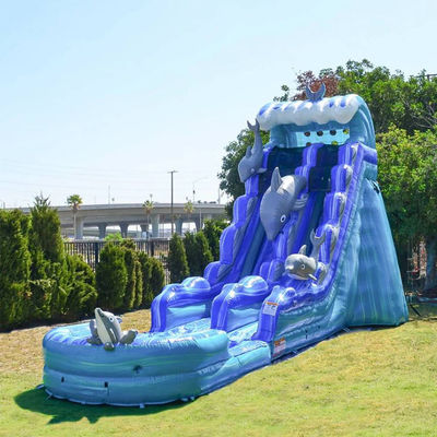 Abnehmbare Schwimmbad aufblasbare Rutsche für Kinder und Erwachsene im Sommer-Wasserpark