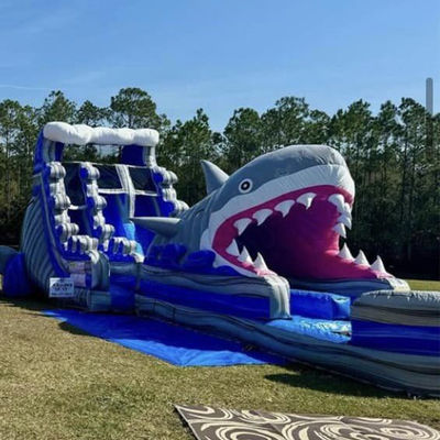 Individuelle Größe aufblasbare Wasserrutsche mit Big Shark Rutsche n Rutsche und Schwimmbad