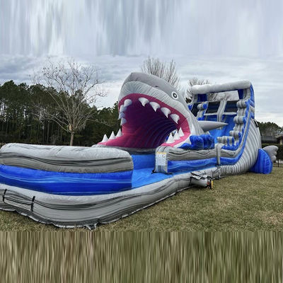Individuelle Größe aufblasbare Wasserrutsche mit Big Shark Rutsche n Rutsche und Schwimmbad