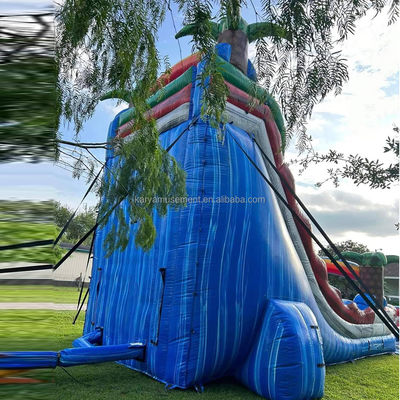 Erweiterte Doppelslide Rot Spannende Aufblasbare Combo Sprungburg für den Wasserpark