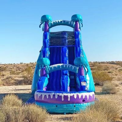 Freizeitpark Vergnügungsgeräte 36ft bunte aufblasbare Wasserrutsche mit Pool