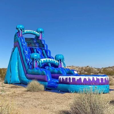 Freizeitpark Vergnügungsgeräte 36ft bunte aufblasbare Wasserrutsche mit Pool