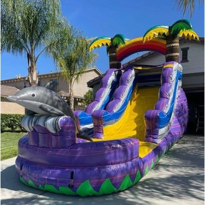 5-10 Passagiere PVC Aufblasbare Wasserrutsche CE-Normen Blaser Grüne Palme mit Pool