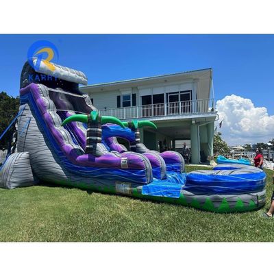 5-10 Passagiere PVC Aufblasbare Wasserrutsche CE-Normen Blaser Grüne Palme mit Pool