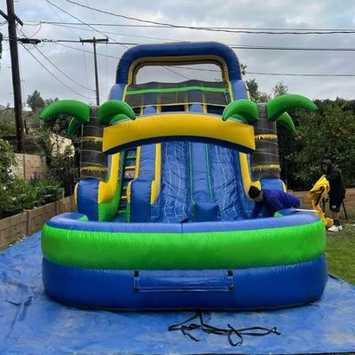 Indoor Doppelschichtverstärkte PVC-Palmbaum aufblasbare Doppelslide Wasserrutsche mit Pool für Kinder und Erwachsene