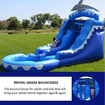 Graue kleine Wal aufblasbare Wasserrutsche mit Wasserpool und Blaser