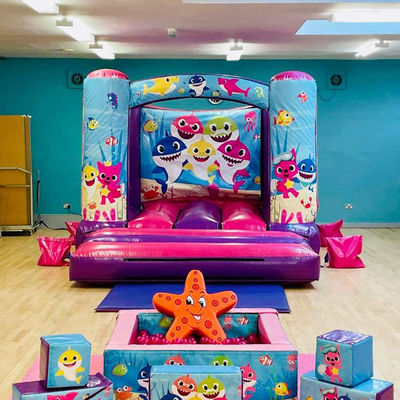 14 Jahre auf Custom Mini aufblasbare Trampolin Schloss mit Slide Custom Farbe