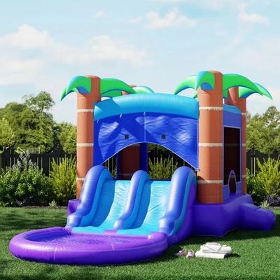 PVC aufblasbare Wasserrutsche mit Basketballhoop für Kinder und Erwachsene