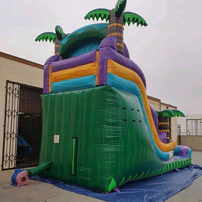 Aufblasbare Regenwaldburg mit Schieberegler und Poolschieberegler Wasser aufblasbare Burg Combo