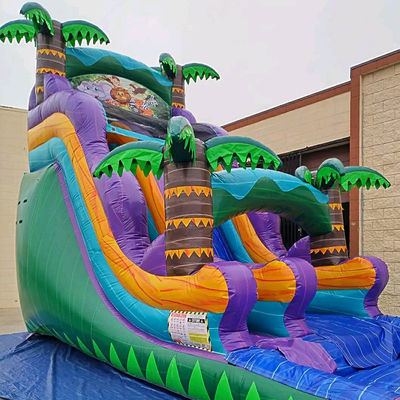 Aufblasbare Regenwaldburg mit Schieberegler und Poolschieberegler Wasser aufblasbare Burg Combo