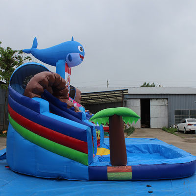 Benutzerdefinierte Farbe Beliebte kleine Hai aufblasbare Wasserrutsche mit Pool