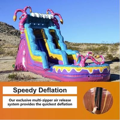Unisex 28ft aufblasbare Wasserrutsche mit Pool und Blaser