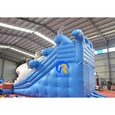 angepasste Farbe Nasse/Trockne Aufblasbares Gebäude mit Schieberegler und Bläser Unisex Outdoor-Spaß