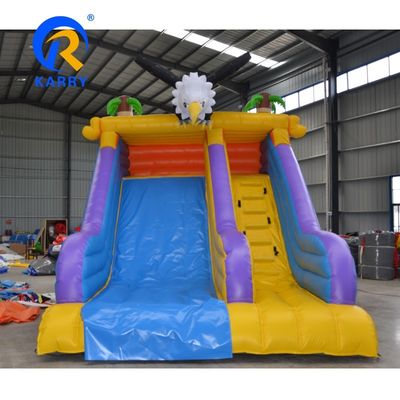 Anpassungsgröße Outdoor Entertainment Angry Crow aufblasbare Wasserrutschen für Kinder spielen