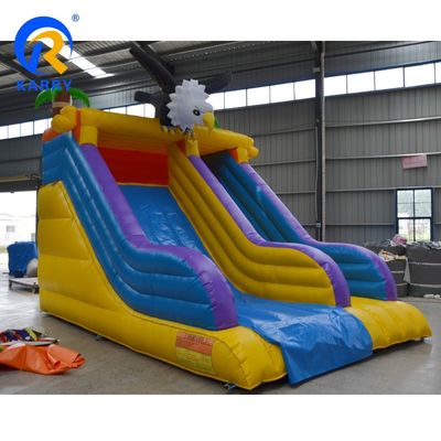 Anpassungsgröße Outdoor Entertainment Angry Crow aufblasbare Wasserrutschen für Kinder spielen