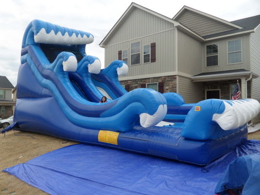 18ft PVC Blau aufblasbare Wasserrutsche mit Pool Karry Tropical Jumping Bouncy Castle