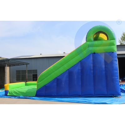 Attract CE EN14960 zertifizierte Leopard Print Arch aufblasbare Wasserrutschen mit Schwimmbad