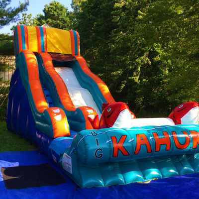 Customized Farbe aufblasbare Wasserrutsche beliebte Hinterhof kommerzielle Kinder Erwachsene Größe