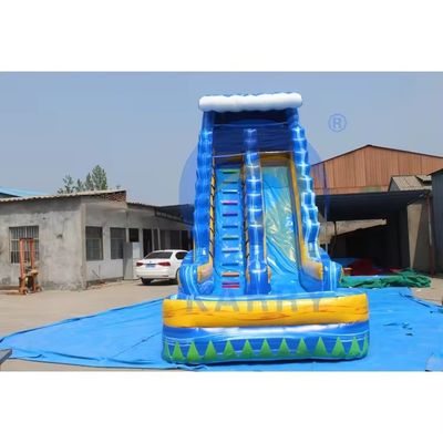 Aufblasbare 18ft Erwachsene tropische Hinterhof Wasserrutsche mit Schwimmbad und Palm